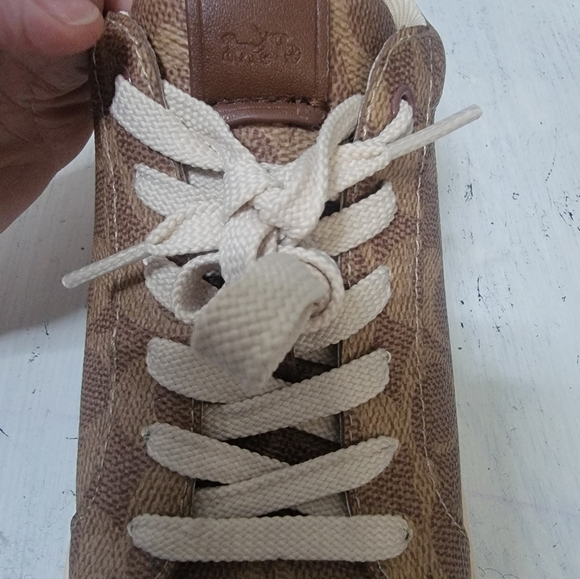 Coach High line Sneacker In Signature Canvas - Picture 13 of 15